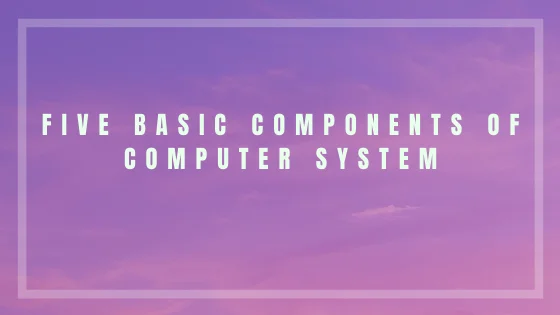Basic Components of Computer