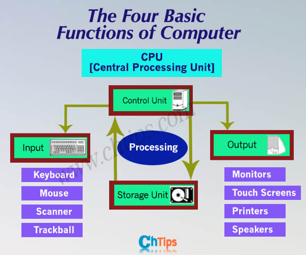 Basic Parts Of A Computer And Functions