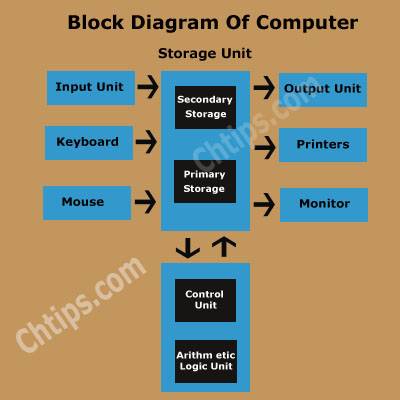 describe the basic organization of a computer system