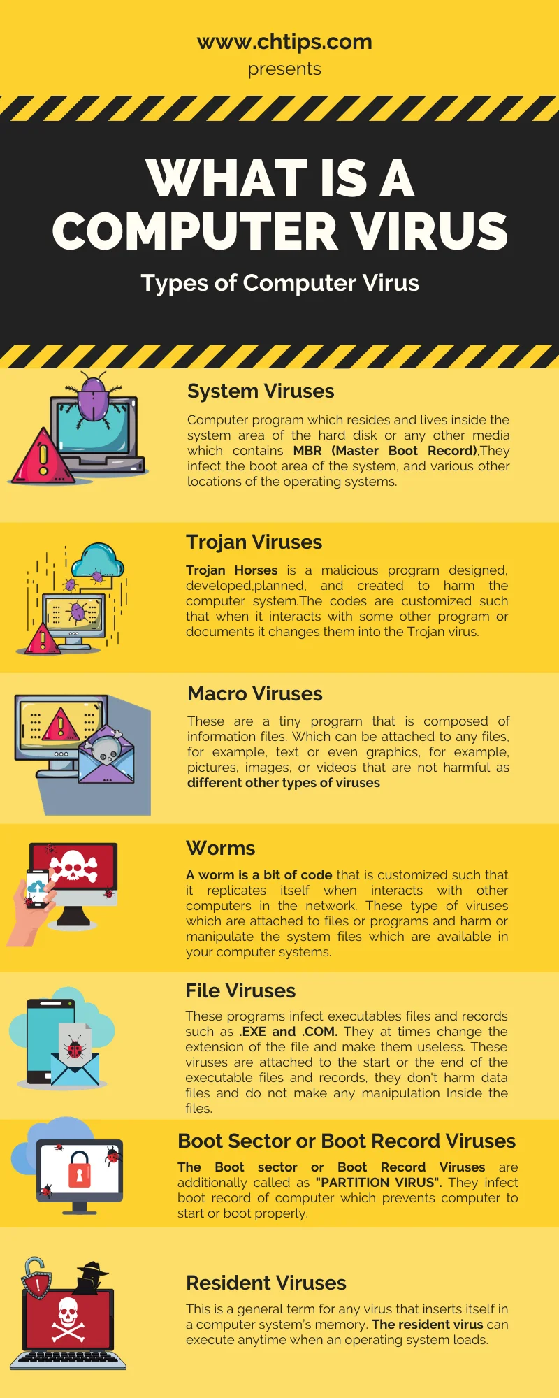 Different Types of Virus