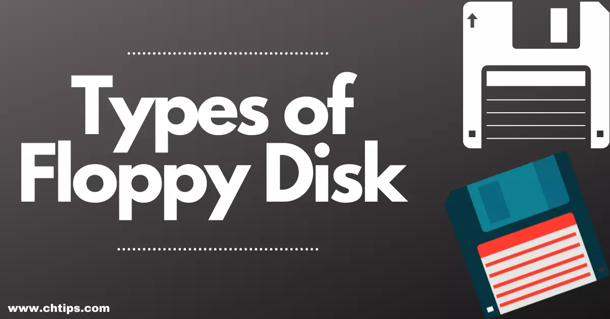Types of Floppy Disk in Computer