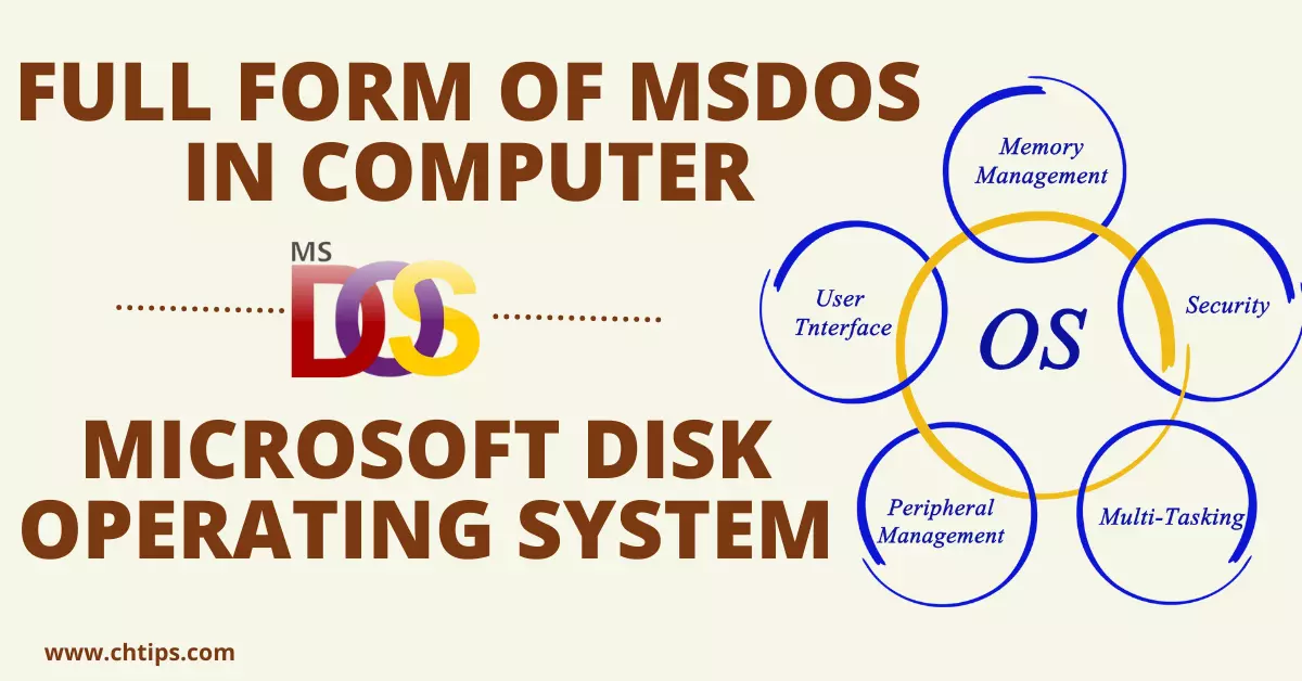 What is the Full Form of MSDOS in Computer