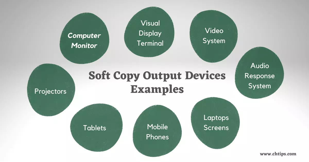 Examples of Soft Copy Output Devices