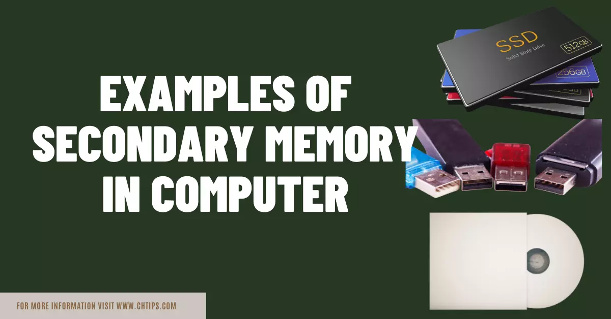 Examples of Secondary Memory in Computer System