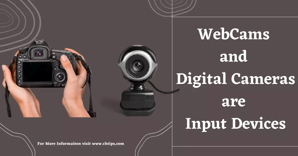 Is WebCam and Digital Camera Input Device or Output Device