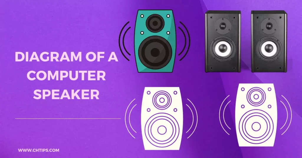 Diagram of a Computer Speaker