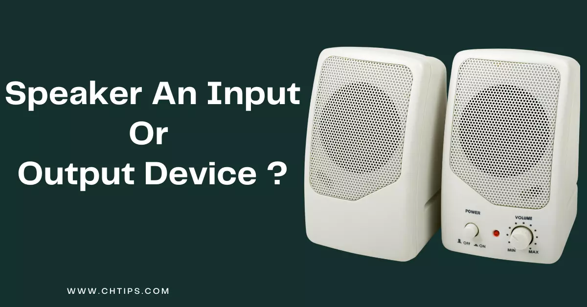 Is A Speaker An Input Or Output Devices In Computer System