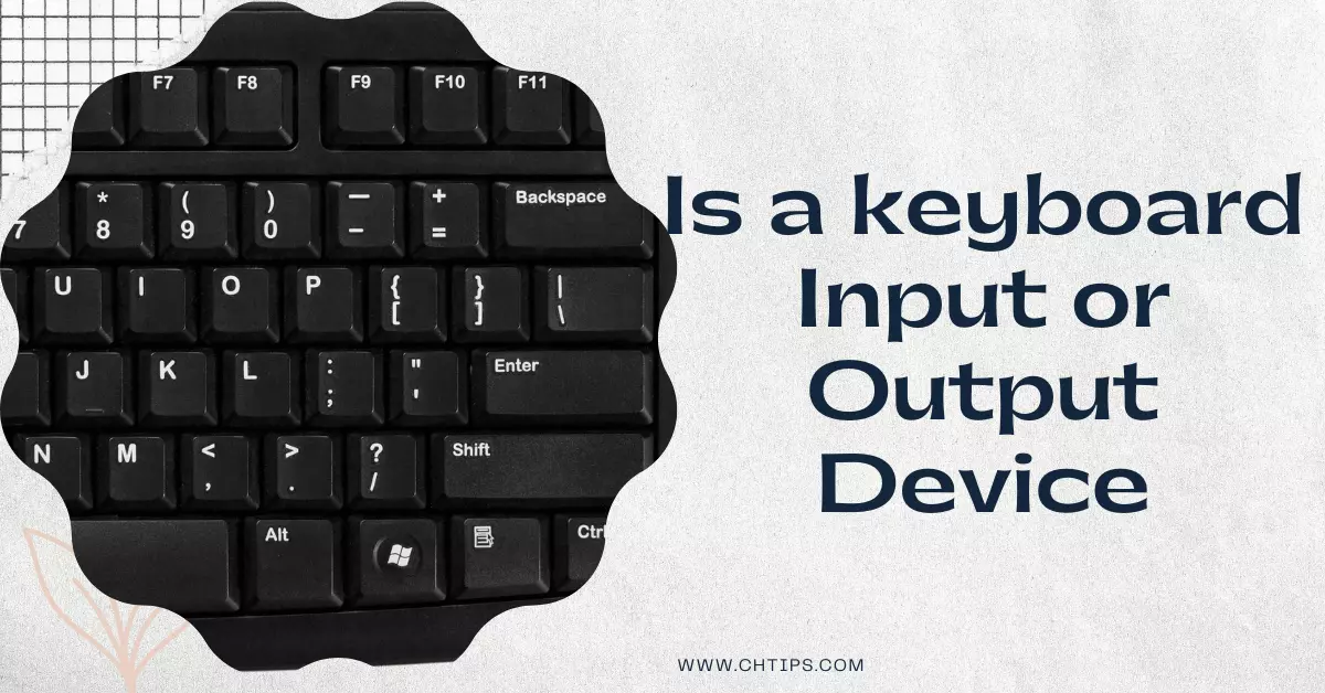 Is a keyboard Input or Output Devices