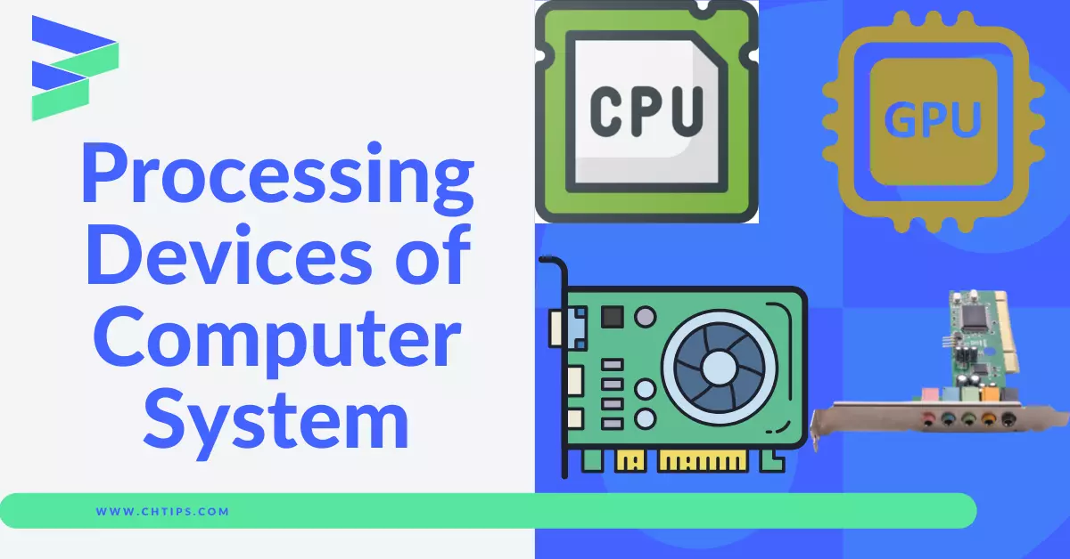 Processing Devices of Computer System