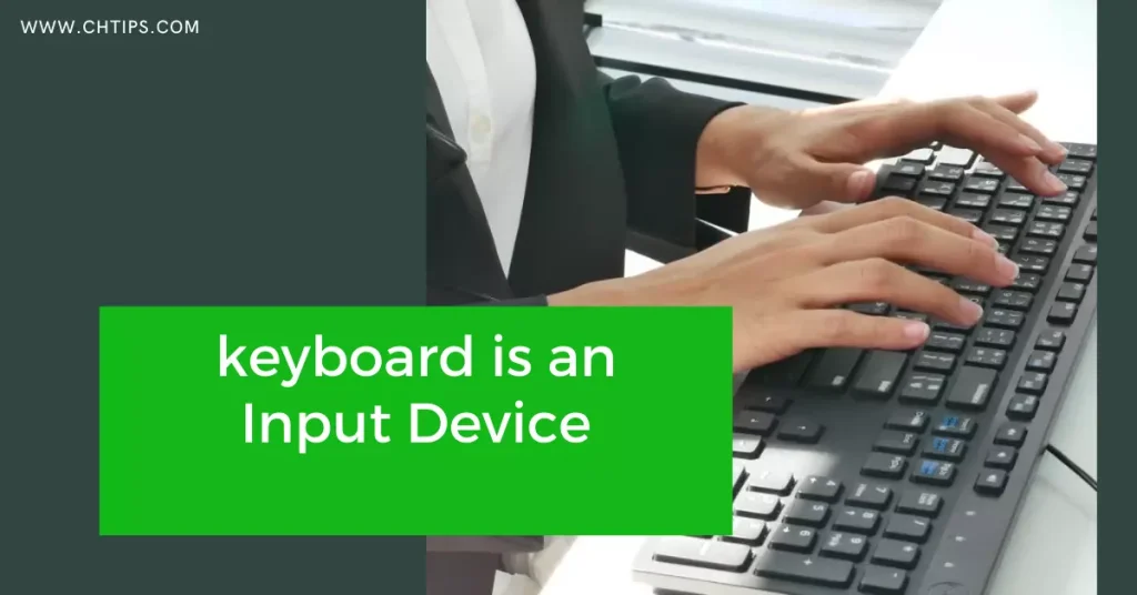 The keyboard is an Input Device