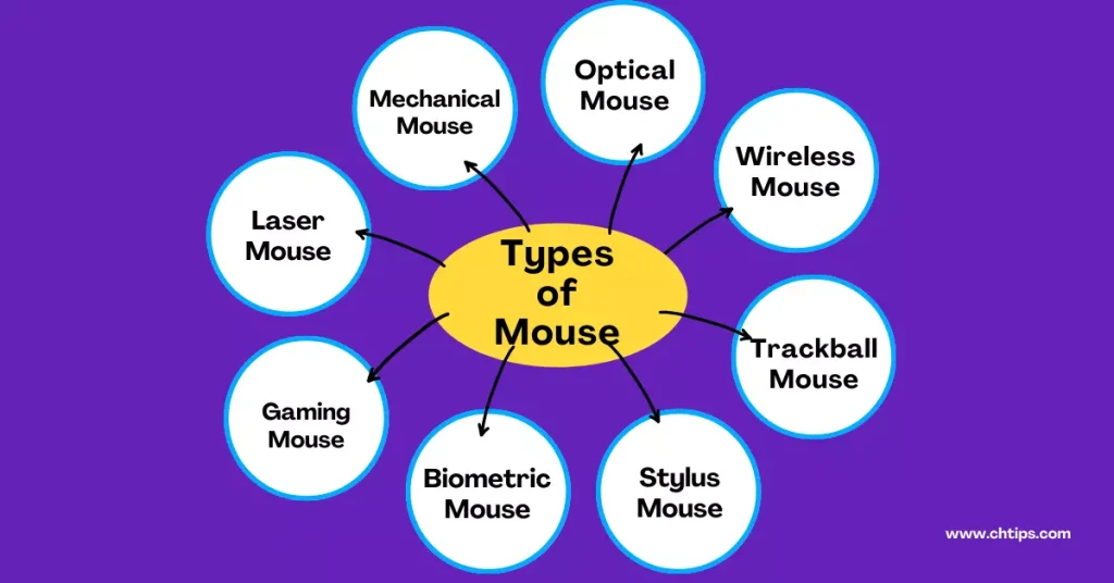 Different Types of Mouse in Computer