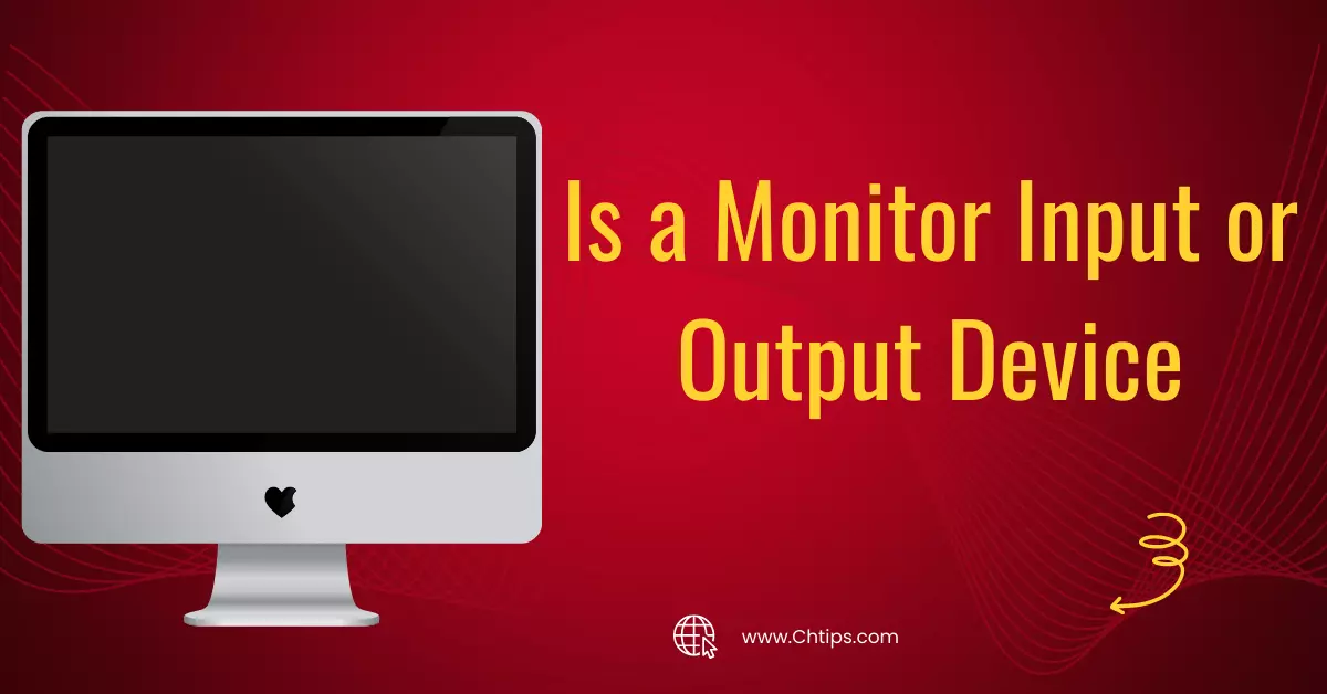 Is a Monitor Input or Output Device