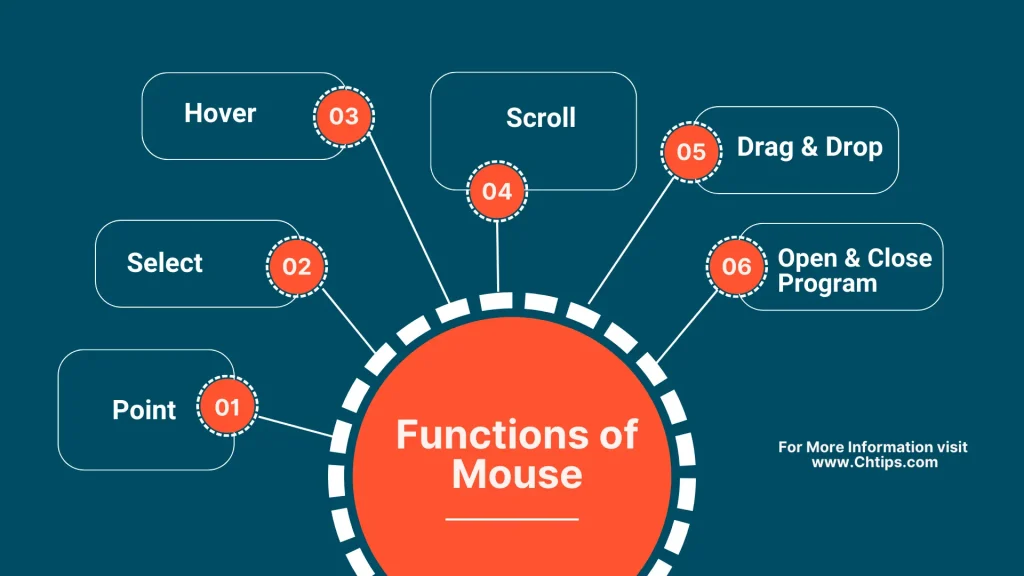 Functions of Mouse