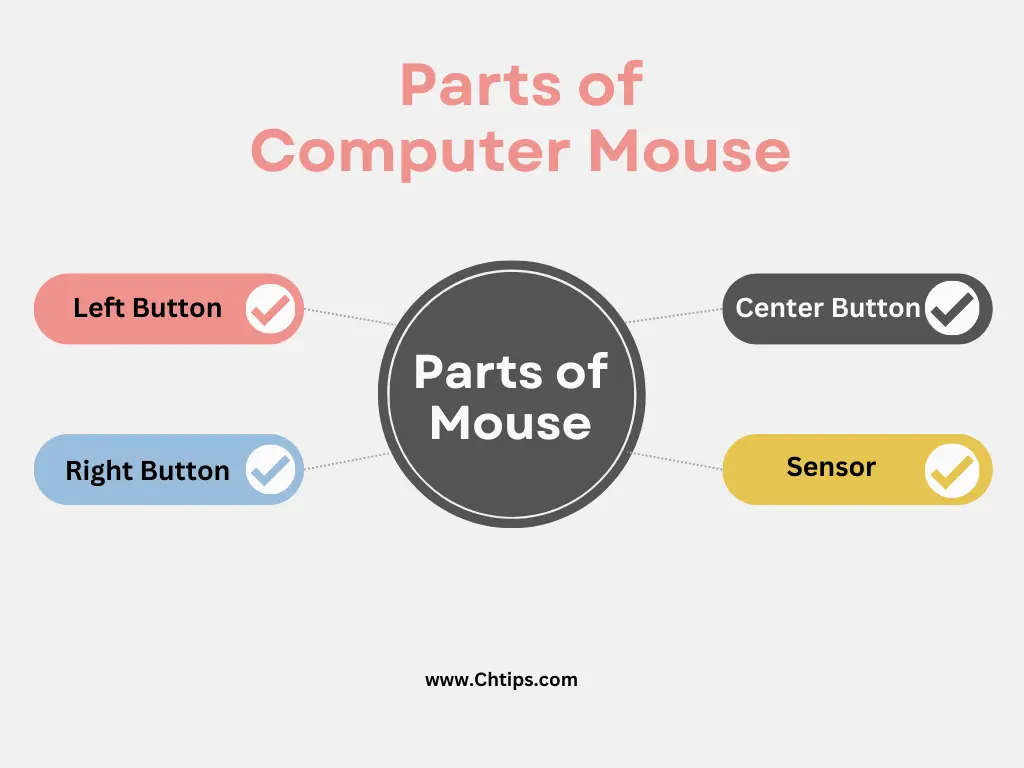 Parts of Computer Mouse