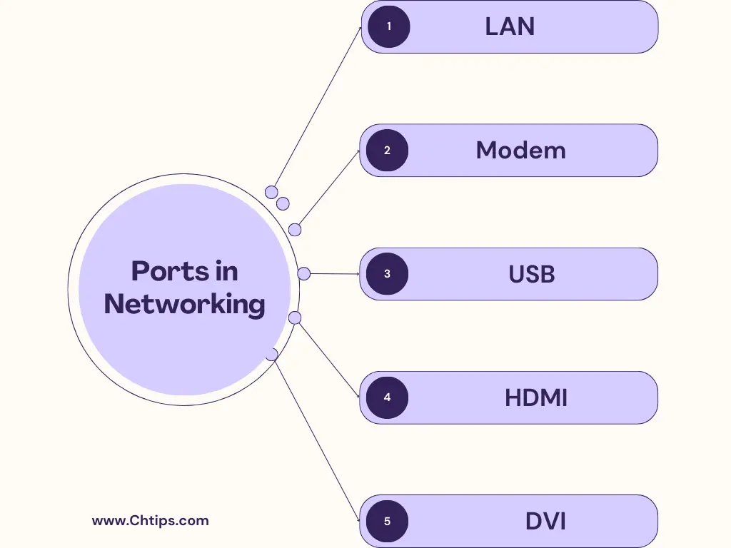 What is Ports in Networking