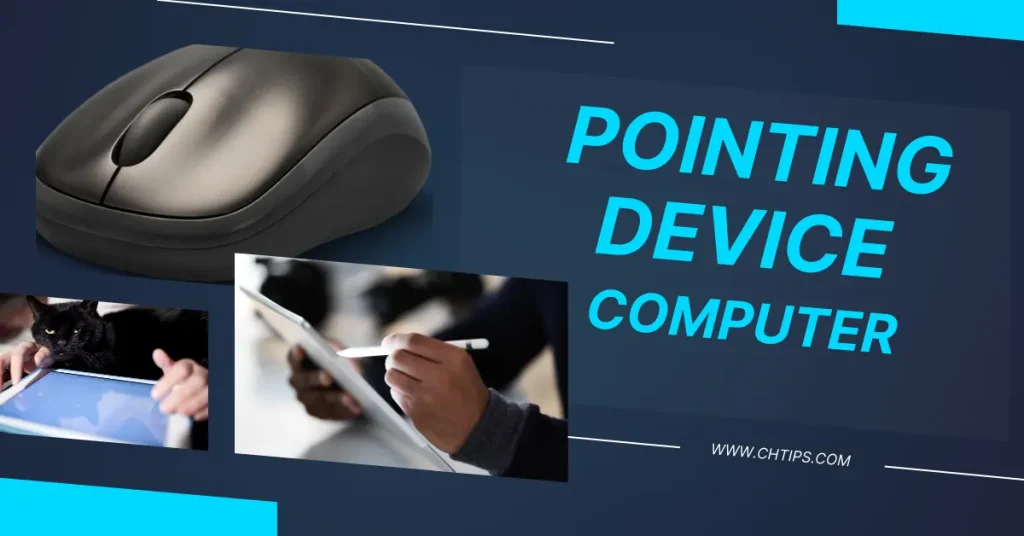Pointing Device in a Computer