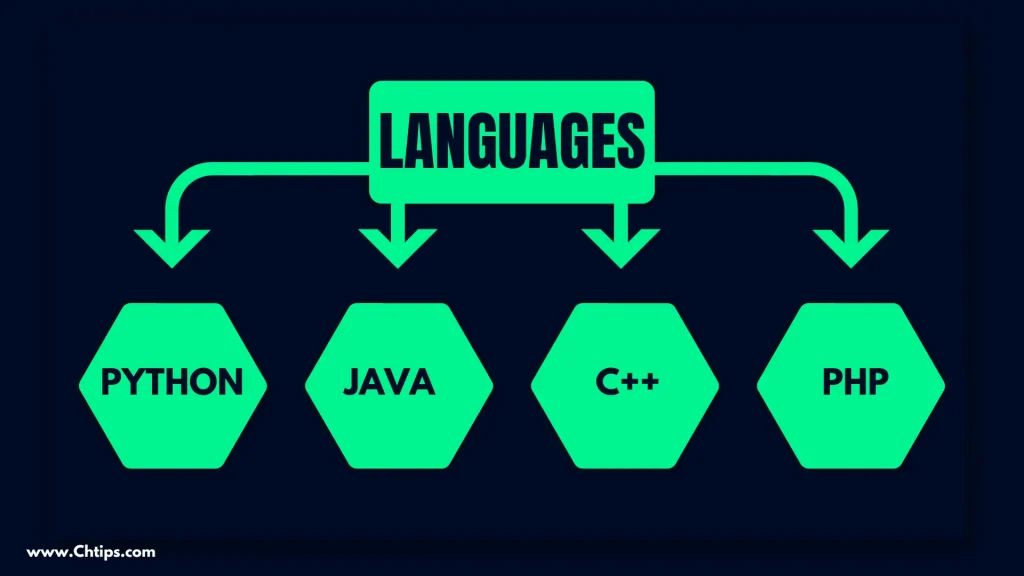 programming languages